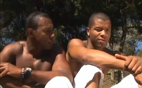 Machos da capoeira fazendo “troca-troca” no meio da floresta