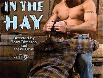 DVD gay para download – Roll In The Hay