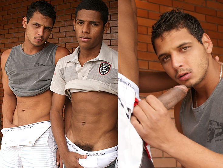 sexo-bem-gostoso arthur e lucas hot boys porno gay