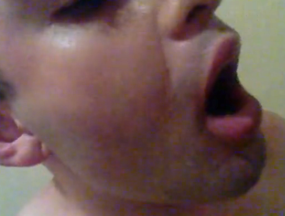 Amador Amateur Gay Boquete Chupada Negro