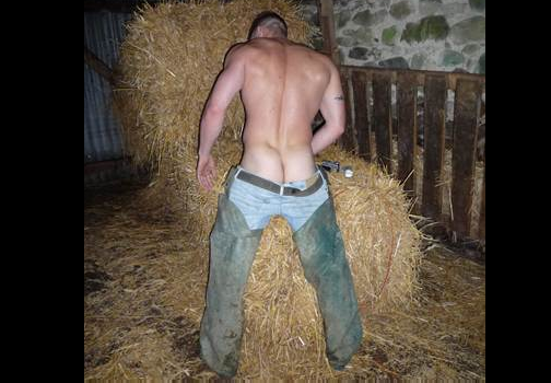 tumblr_mez1f2Wlg31rims2yo1_400