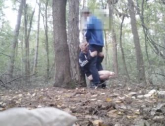 Chupando um desconhecido no meio da floresta