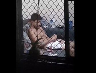 O que fazer quando o vizinho gato bate punheta e esquece a janela aberta?