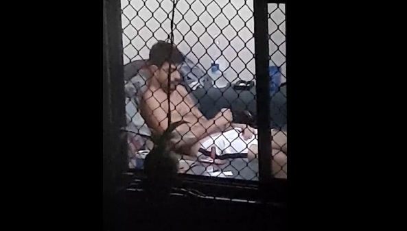 O que fazer quando o vizinho gato bate punheta e esquece a janeça aberta